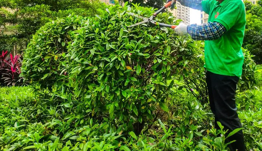 <strong>B体育必一官网：飞机网球拍托运价格多少</strong>