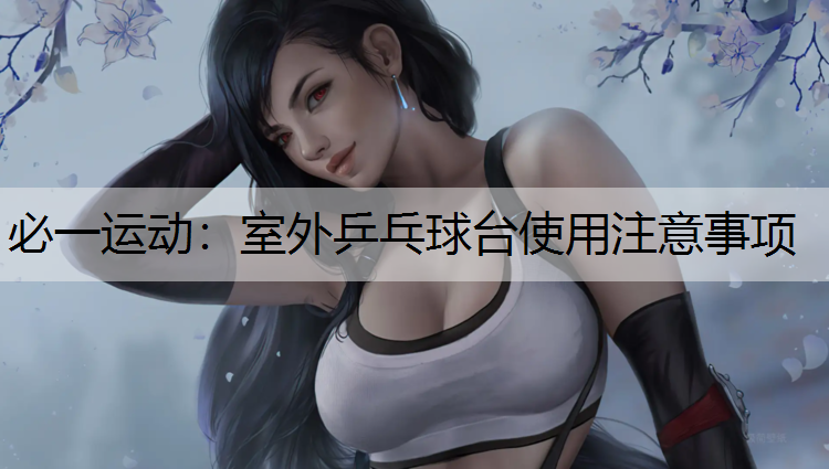 室外乒乓球台使用注意事项