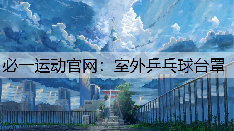 室外乒乓球台罩