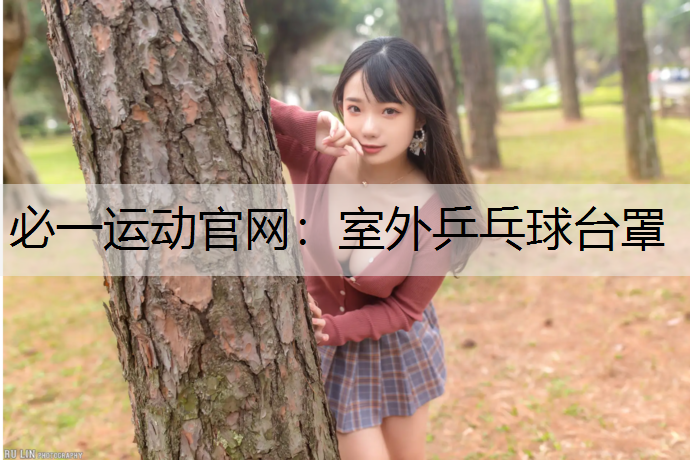 室外乒乓球台罩
