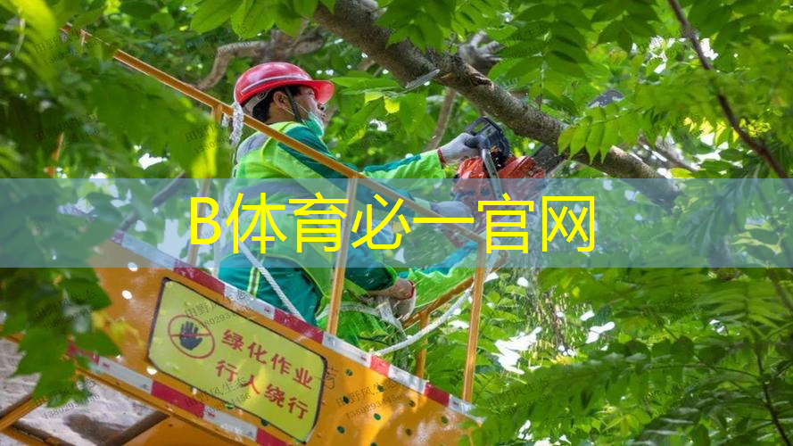 网球拍儿童50磅什么水平