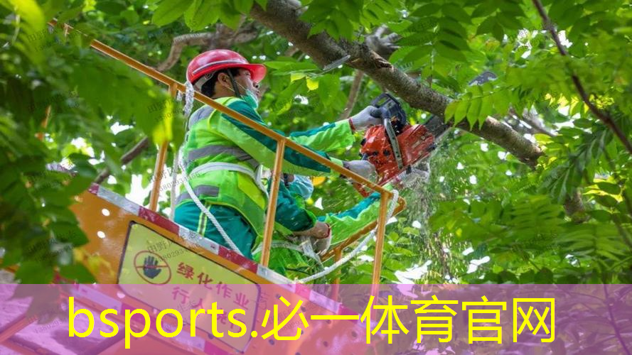 网球拍缓震器怎么取出